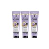 Gliss Blonde Perfector 2-in-1 Purple Building Hair Mask (3 x