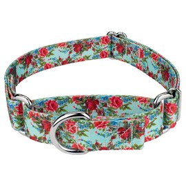 Country Brook Petz Martingale Dog Collar - Heavy-Duty Training Collar - Vibrant Floral Collection with Charming Designs - Vintage Roses, Large