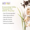 Aura Cacia - Pure Tea Tree Essential Oil | 0.5