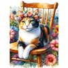 QINRUBB DIY Calico Cat Diamond Painting Pictures Beginners, 5D Cat