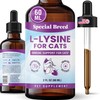 Special Breed L-Lysine for Cats & Kittens – Immune, Respiratory