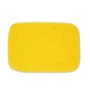 Premium Synthetic Art Crafts Sponges - 6pc Value Pack for