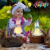 Pack of 2 Easter Gnome Illuminated, Easter Decoration Rabbit Gnome