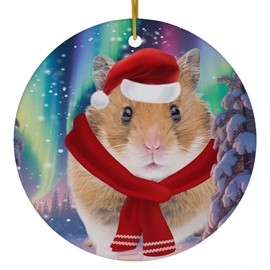 Funny Syrian Hamster Christmas Ornament 2025 Ceramic Circle White - Festive Winter Northern Lights Holiday Xmas Tree Hanging Decoration Gifts for Hamster Lovers