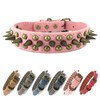 Collar de Perro con púas, Protege el Cuello del Perro