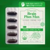 Phosphatidylserine Brain Memory Cognition 4 / 포스파디딜세린 두뇌 기억력 인지력