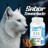 Creatina Glutamina Linx Fit 1kg 50 Servicios Varios Sabor