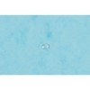 Exacompta - Ref 55528E - Pack of 5 Elastic folders