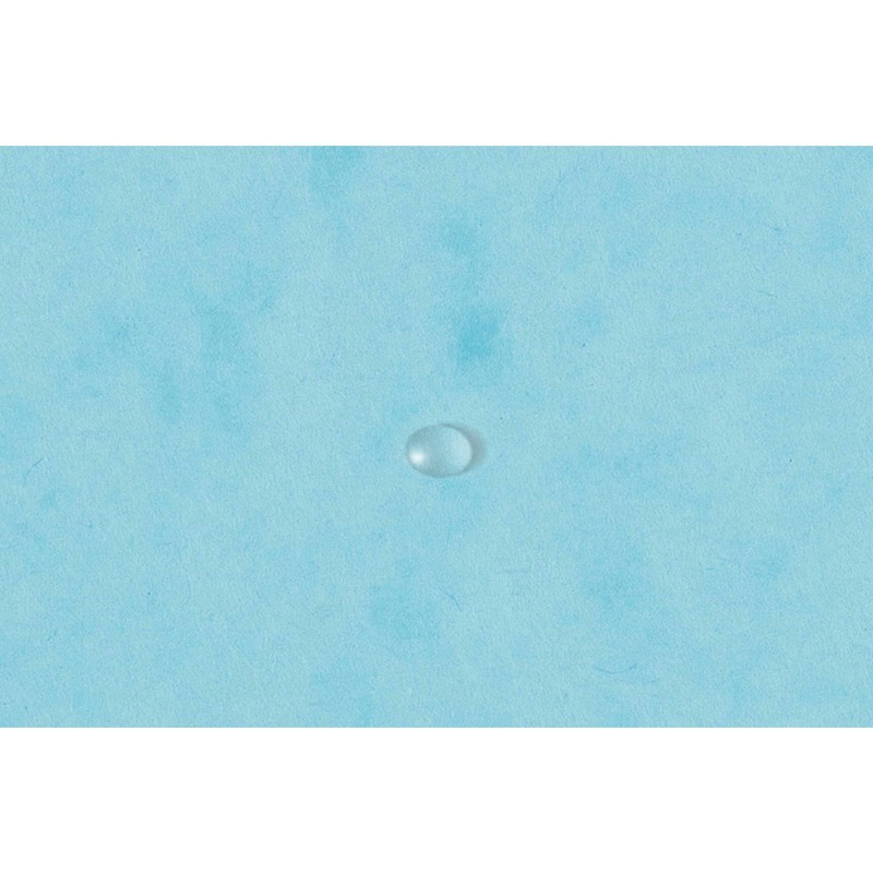 Exacompta - Ref 55528E - Pack of 5 Elastic folders