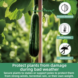 Hanload Soft Plant Ties, 66FT Green Garden Wire, Flexible Garden Twist for Climbing Plants, Tomatoes, Outdoor Plants, Vegetables, Flowers, Roses Plant Support (Diameter - 3.5MM)