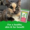 Greenies Feline Smartbites Skin & Fur Health Crunchy and Soft