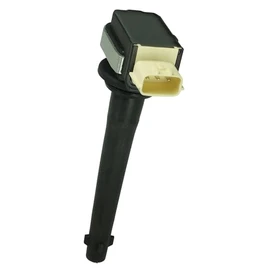 Delphi GN10376 12B1 Ignition Coil