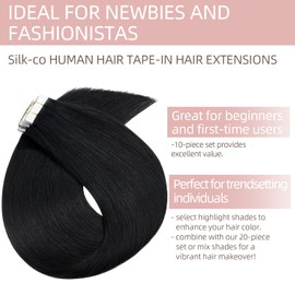 Silk-co 12"-24" Tape in Hair Extensions 100% Real Remy Straight Human Hair Extension 10Pcs Hair Pieces Straight Skin Weft Seamless (14inch #01 Jet Black)