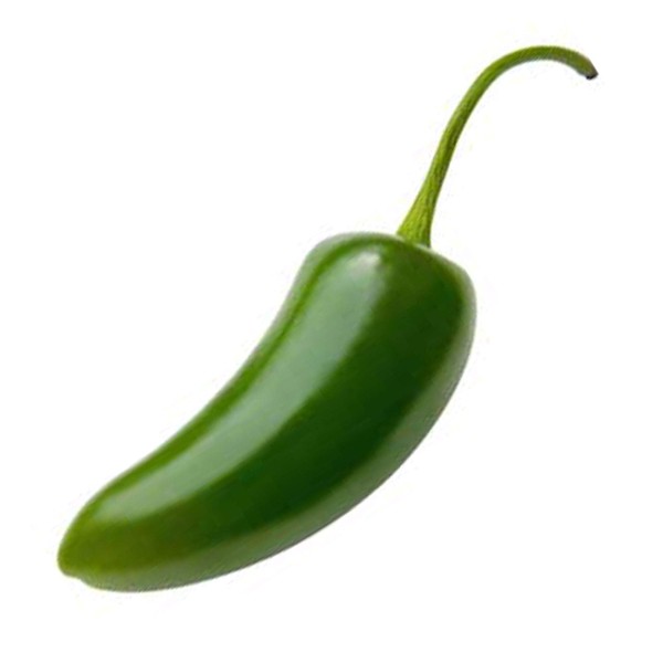 Organic Jalapeno M Pepper Seeds - 250 mg ~30 Seeds