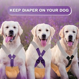 Saintrygo 2 Pcs Dog Suspenders for Diapers Female Male Belly Bands Canine Harness Keep Diaper on Your Pet for Small Medium and Large Dogs (Black,Purple,Medium)