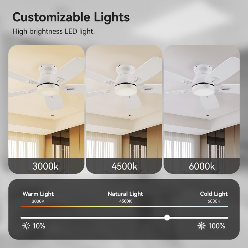 SUNMORY 42" Ceiling Fans with Lights and Remote/APP Control, Low