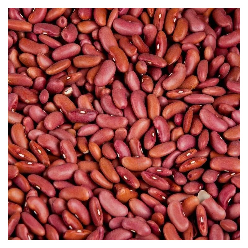 SanMac Large Kidney Beans - 2 lb