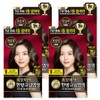 Lien Black Hair Dyeing Cream, Black Brown, 4 Pieces / 리엔 흑모비책 새치염색 크림, 흑갈색, 4개
