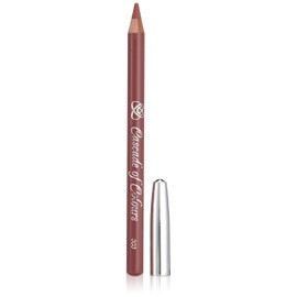 Cascade of Colours Lip Liner Pencil 303