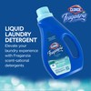 Clorox Fraganzia Liquid Laundry Detergent in Ocean Scent - HE