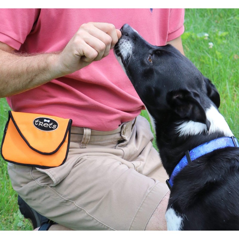 Woofhoof Dog Treat Pouch (Blue)