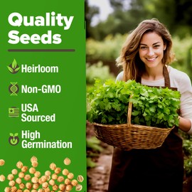 HOME GROWN (Fast Growing Variety) 500+ Cilantro Seeds for Planting Indoors or Outdoors - Non-GMO, Heirloom Herbs, Coriander Plant Seeds - Santo Cilantro Herb Seeds for Your Indoor Herb Garden