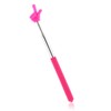 DIVINA VITAE Telescopic Teacher Pointer Extendable Pointer Stick for Classroom