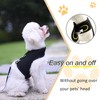 Small Dog Harness and Leash Set Small Pet Harness for