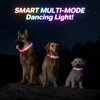 RUXAN Light Up Dog Collar,Dog Lights for Night Walking,LED Collars