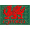 Cymru Draig Ddraig Goch Welsh Dragon Decal Caravan Motorhome Boat