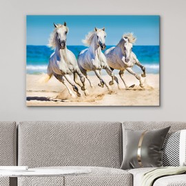 NWT Canvas Print Wall Art Tropical Beach Island Horse Stallions Animals Nature Photography Realism Rustic Landscape Portrait Wildlife Country for Living Room, Bedroom, Office - 16"x24"
