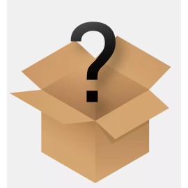 TY beanie baby MYSTERY beanie