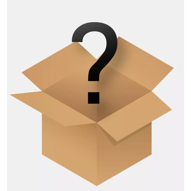 TY beanie baby MYSTERY beanie