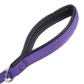 GOGO Pet Products Comfy Nylon Lead