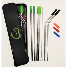 Stainless Steel Reusable Straw set with Silicon Tips and Travel Case