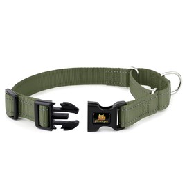 PLUTUS PET Reflective Martingale Collar with Quick Snap Buckle,No Pull Dog Choker Collar for Small Medium Large Dogs,XS,Ranger Green