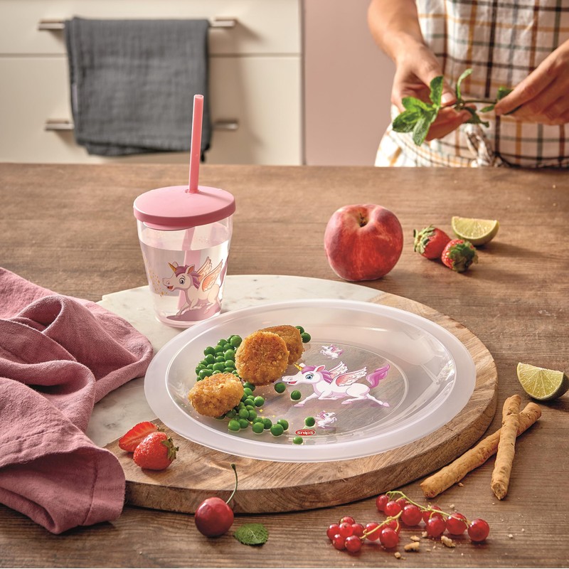 Snips, Set of 12 Washable Hard Plastic Plates, Reusable Plastic