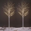 LIGHTSHARE Lighted Birch Twig Tree with Fairy Lights 2 Sets