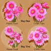 Chrysal CVBN Tablets 800 count jar clear odorless water Flowers