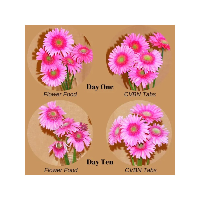 Chrysal CVBN Tablets 800 count jar clear odorless water Flowers