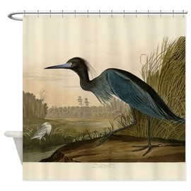 CafePress Audubon Blue Crane Heron from Birds of America Sho Decorative Fabric Shower Curtain