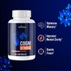 Pelican Vitamins Cogni Strong- Brain Support- 60 Capsules