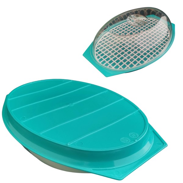 LCQI - Vassoio per scongelare alimenti, con contenitore in plastica e coperchio a griglia per scongelamento rapido blu