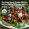 Thousand Lakes Organic Canadian Wild Rice - Soup Grade -