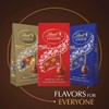 Lindt 70% Cocoa Extra Dark Chocolate Truffles - 6oz