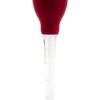 Westmark Bratensaftspritze, mit Reinigungsbürste, Länge: 28 cm, Kunststoff, Rot/Transparent, 15252270