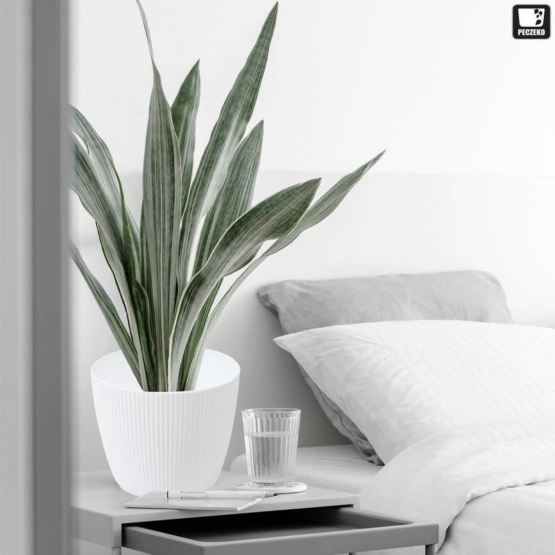 TULMERO Matte Flower Pot, Plastic Planter, Decorative Pot for Large