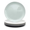 Youngever 9 Pack 20CM Re-usable Plastic Plates, Small Plates, Salad
