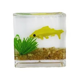 WLngtv Yellow Goldfish Charm of A Mini Tank with This 1:12 Scale Miniature Square Fish Tank Realistic Glass Decor for Dollhouse Display Captivating Miniature for Crafts Ornaments Handmade Landscape
