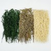 Woohome 3 Colour Scenics Grass Tuft, DIY Miniature Static Grass